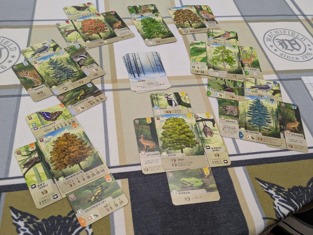 ボードゲーム　カードゲーム
パーティゲーム　アナログゲーム
テーブルゲーム　セットコレクション　フォレストシャッフル